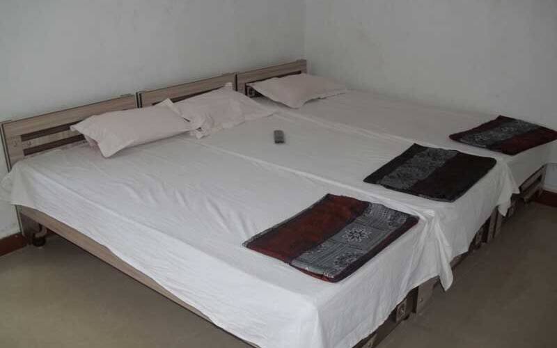 Nitin Bahi's Homestay, Sasan Gir 1